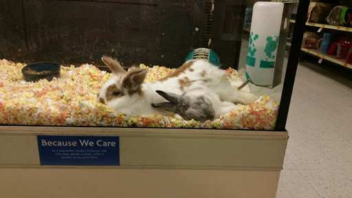 Pet Supply Store «PetSmart», reviews and photos, 1145 W Riverdale Rd, Riverdale, UT 84405, USA