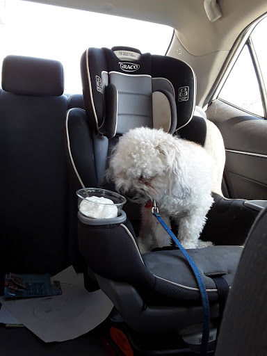 General Store «Pick & Shovel», reviews and photos, 54 Coventry St, Newport, VT 05855, USA