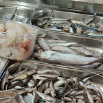 Photo n°1 de l'avis de Raffaele.o fait le 31/12/2022 à 18:14 sur le  Ristorante Il Porticciolo à Acireale