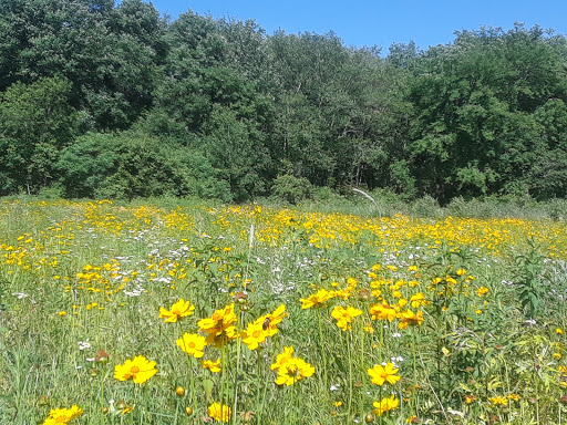 Park «Acushnet Sawmill», reviews and photos, 32 Mill Rd, Acushnet, MA 02743, USA