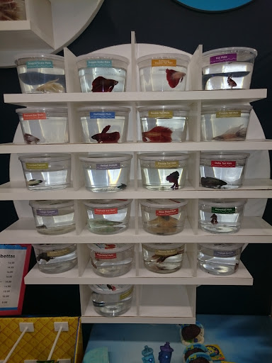 Pet Supply Store «Petco Animal Supplies», reviews and photos, 790 Waverly Rd, North Andover, MA 01845, USA