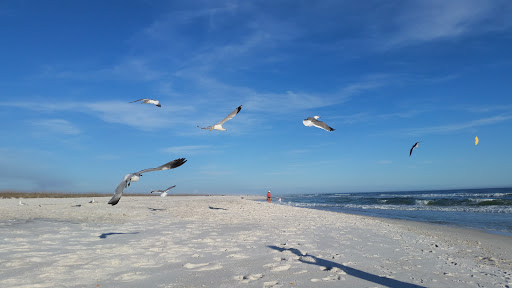 Thrift Store «Helping Hand Missions Thrift Store», reviews and photos, 5307 Gulf Breeze Pkwy, Gulf Breeze, FL 32563, USA