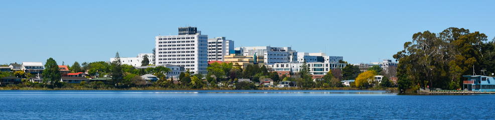 Waikato Medical School Proposal