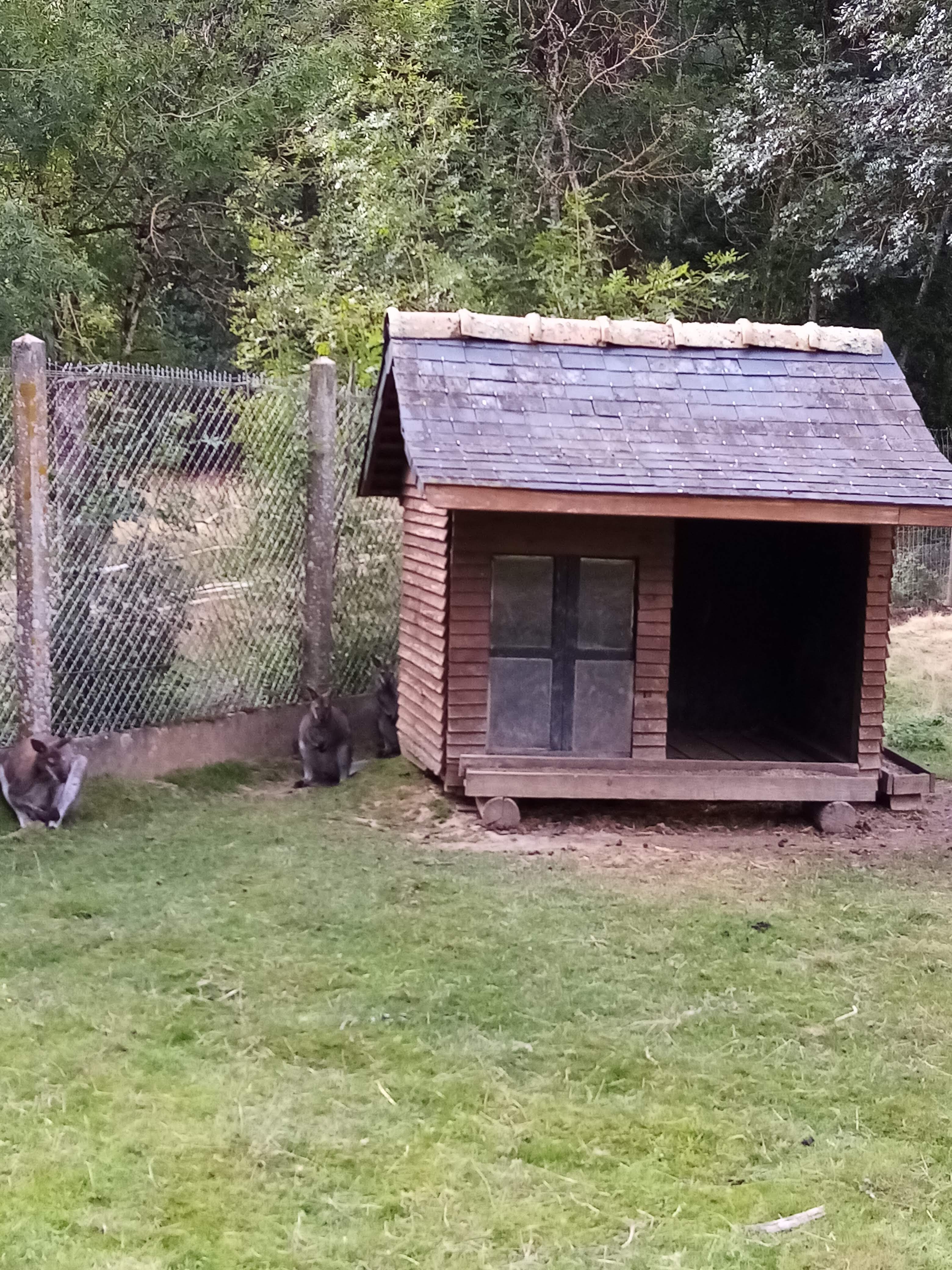 Photo n° 12 de l'avis de Aurelie.u fait le 17/08/2021 à 19:49