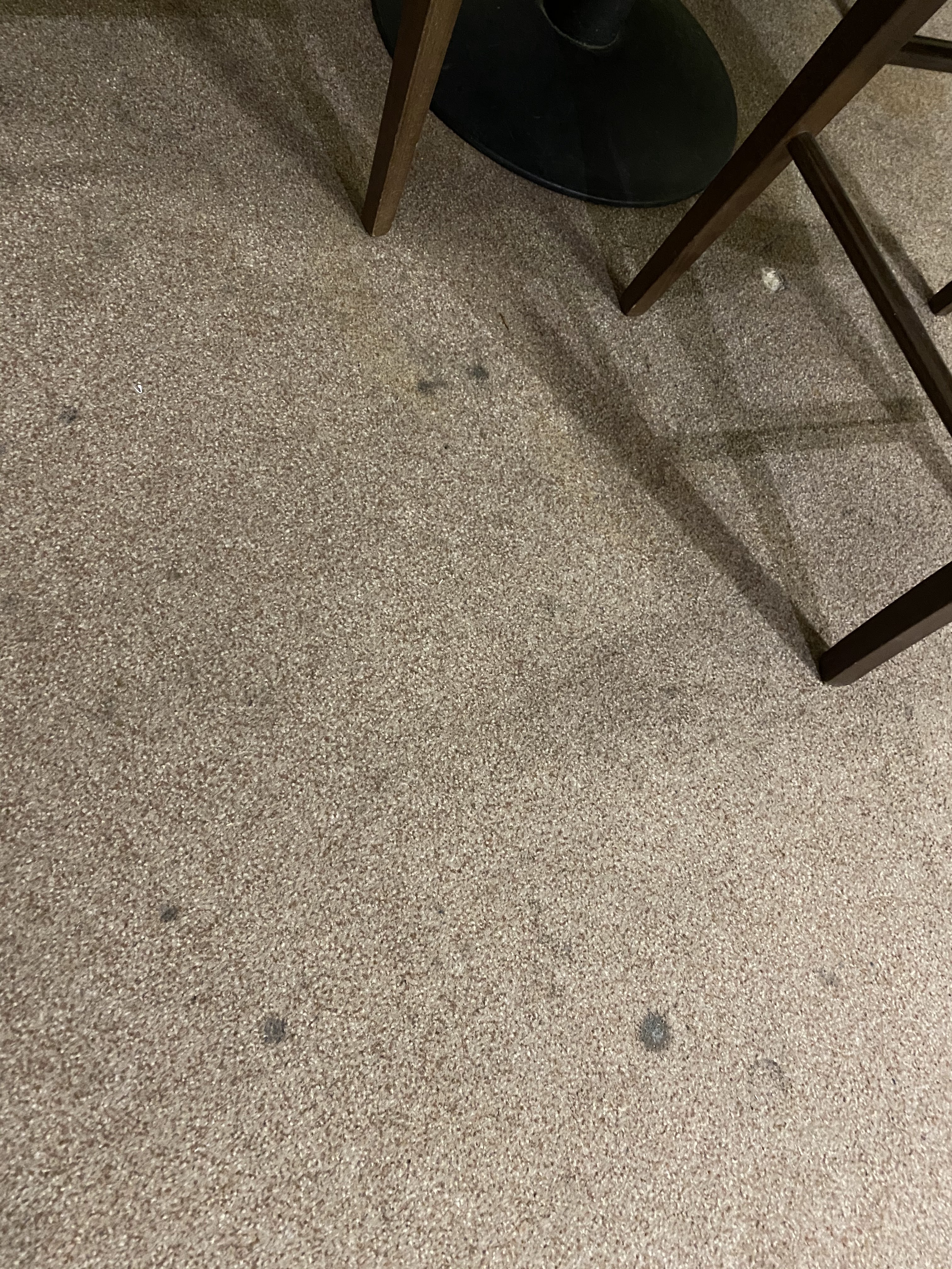 Photo n° 4 de l'avis de bruno.a fait le 20/02/2020 à 18:03
