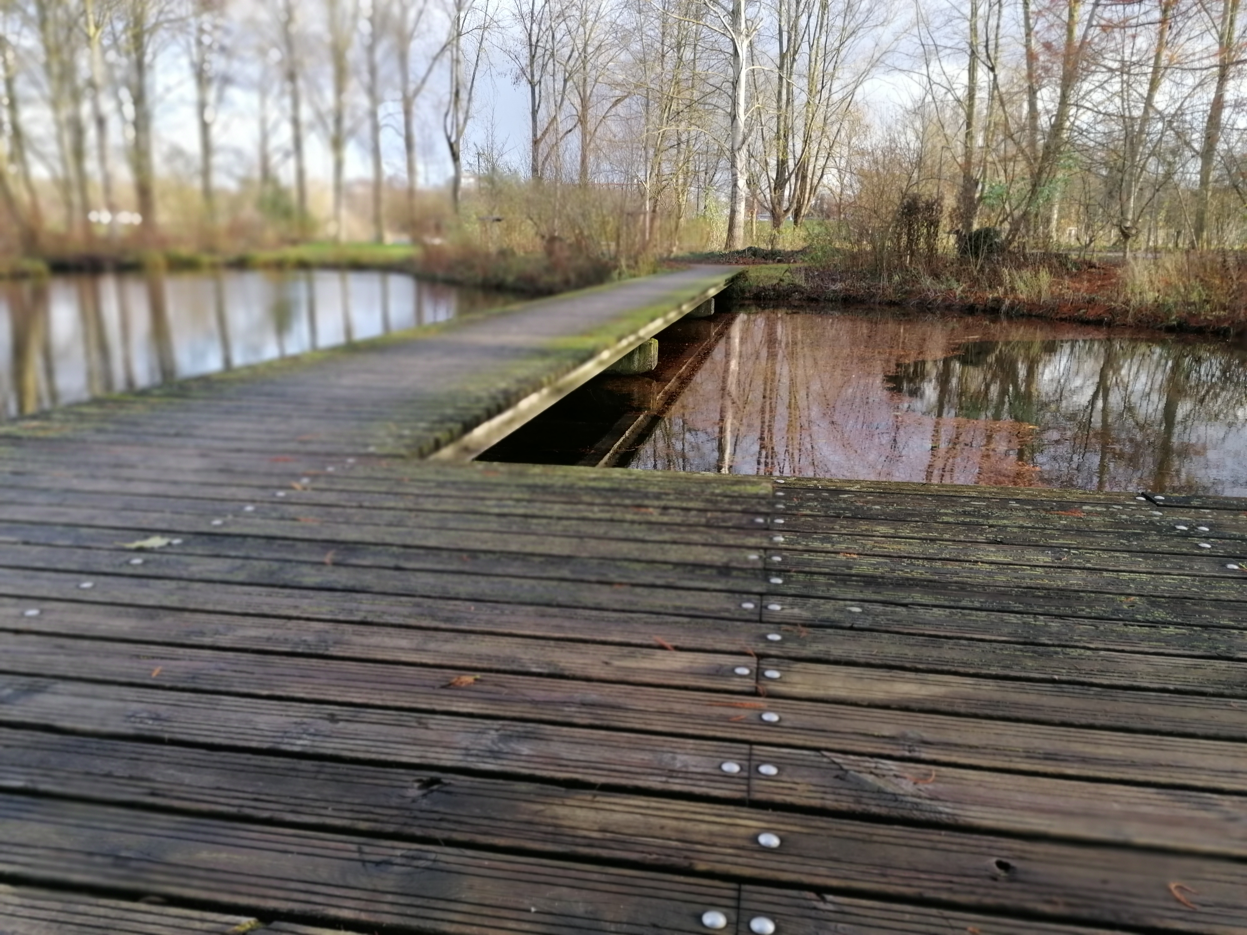 Photo n° 2 de l'avis de Emmanuel.e fait le 20/02/2020 à 17:22