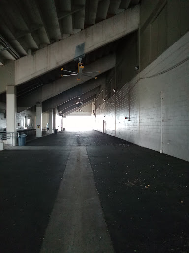 Stadium «McAllen Memorial Stadium», reviews and photos, 2001 N Bicentennial Blvd, McAllen, TX 78501, USA