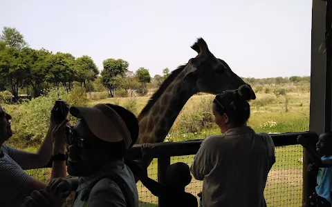 Lion & Safari Park image