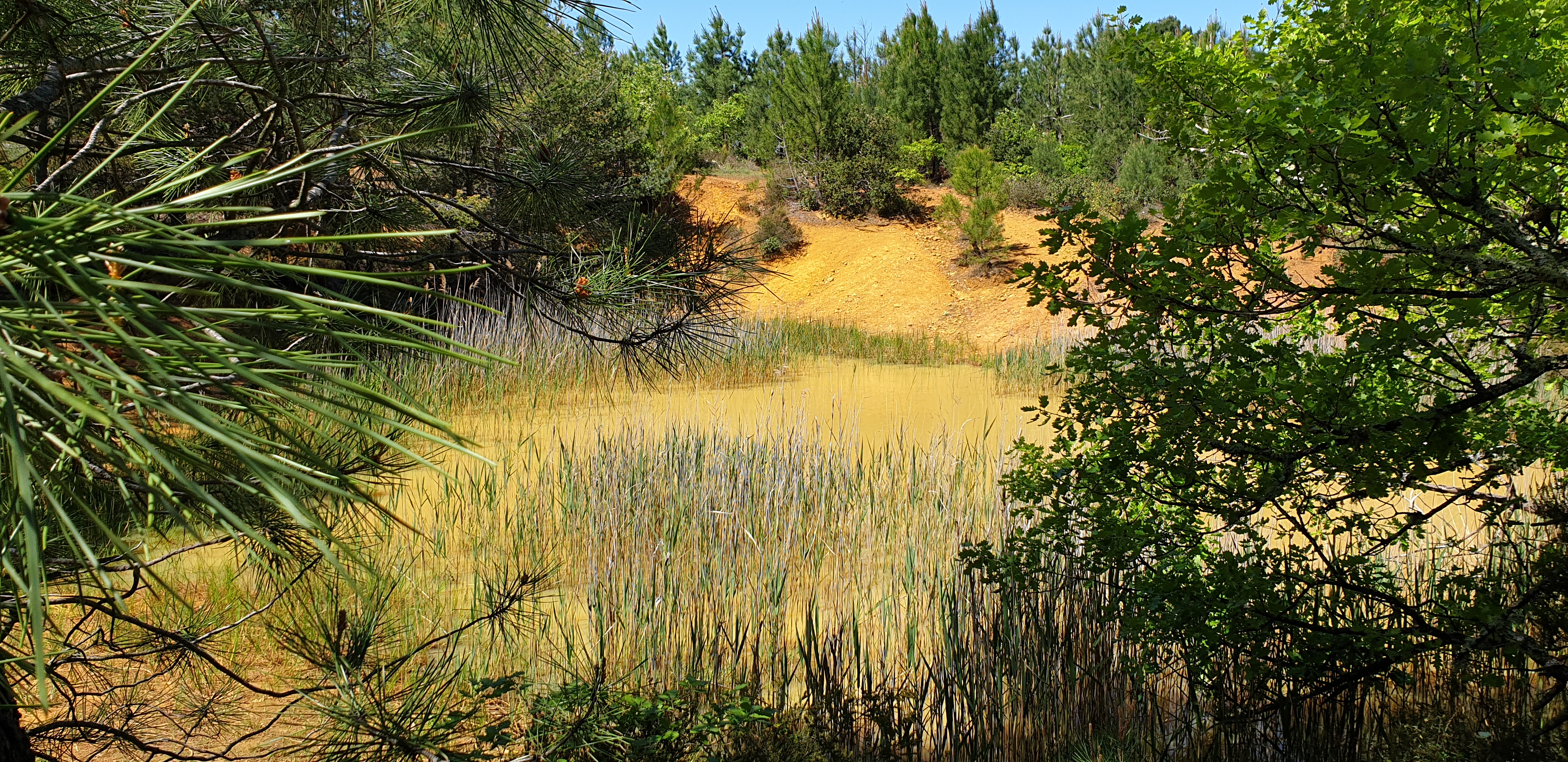 Photo n° 2 de l'avis de Veronique.e fait le 17/05/2019 à 08:11