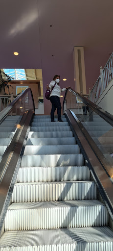 Toy Store «Disney Store», reviews and photos, 400 Commons Way, Bridgewater, NJ 08807, USA