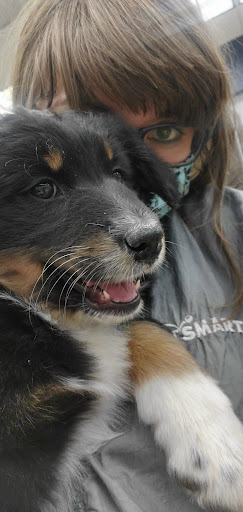 Pet Supply Store «PetSmart», reviews and photos, 2026 Lincoln Way E, Massillon, OH 44646, USA