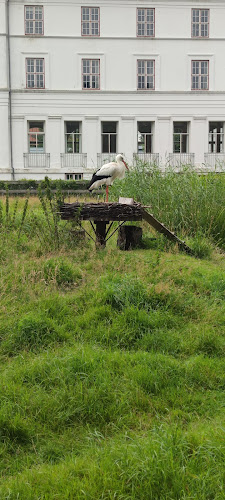 Kommentarer og anmeldelser af Ferskvandscentret