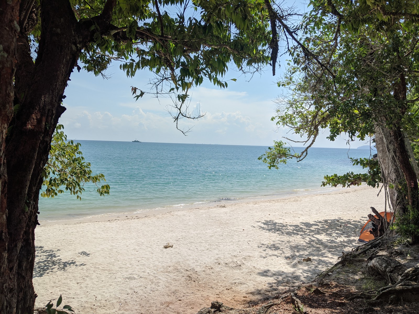 Zdjęcie Sandy Skulls Beach dziki obszar