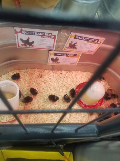 Home Improvement Store «Tractor Supply Co.», reviews and photos, 2385 E Market St, Harrisonburg, VA 22801, USA