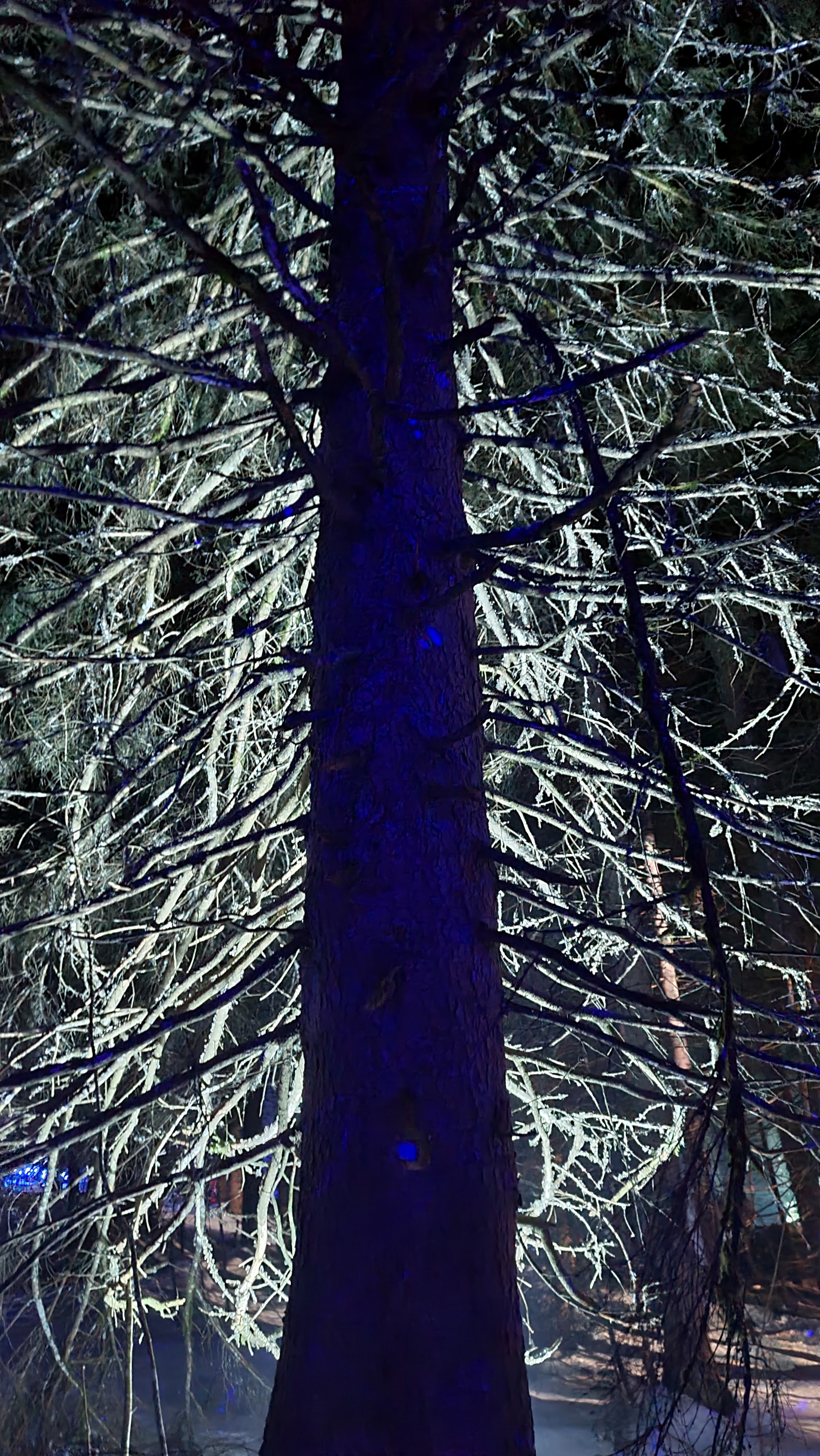 Photo n° 4 de l'avis de j.o fait le 23/01/2022 à 00:18