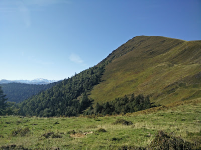 Bois et Montagne de Tignas à Nistos