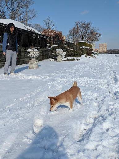 Park «Palisades Park Recreation Area», reviews and photos, 676 Undercliff Ave, Edgewater, NJ 07020, USA