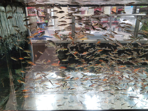 Pet Supply Store «Petco Animal Supplies», reviews and photos, 1591 Sloat Blvd, San Francisco, CA 94132, USA