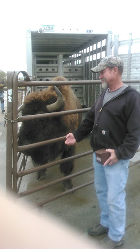 Market «Heirloom Market & Cafe», reviews and photos, 2200 IL-84, Fulton, IL 61252, USA