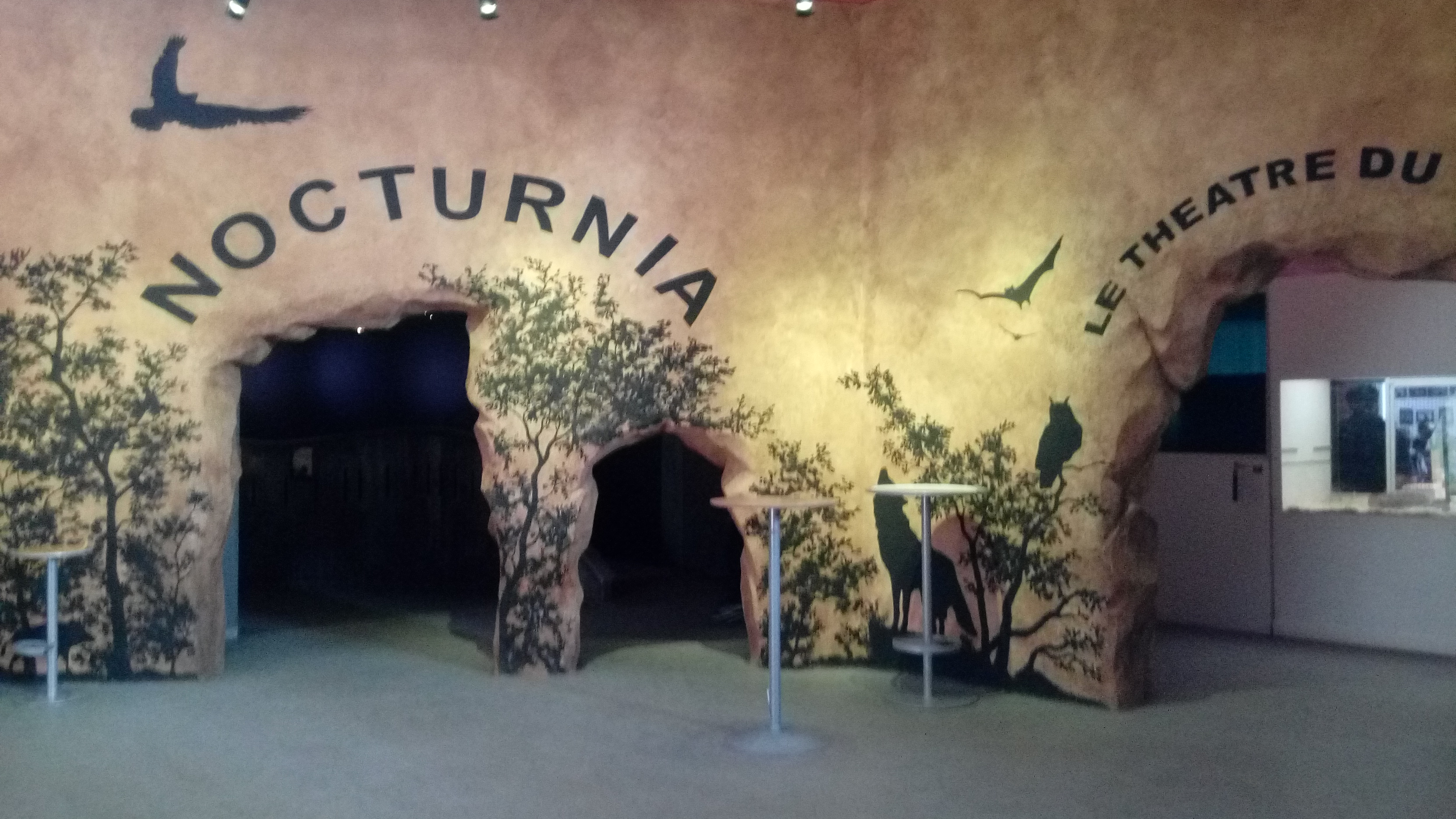 Photo n° 6 de l'avis de Salomez.a fait le 23/02/2019 à 15:38