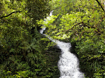 Ross creek waterfall Woodhaugh