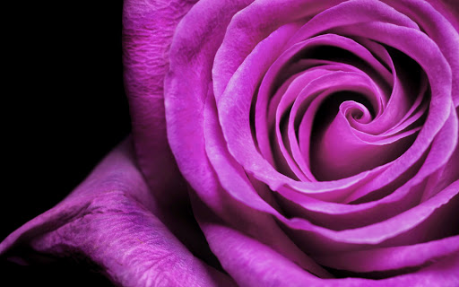 Florist «Always In Bloom», reviews and photos, 4740 Farm to Market 2920 #11, Spring, TX 77388, USA