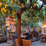 Photo n°5 de l'avis de Fernando.a fait le 27/04/2024 à 09:31 sur le  Focacceria A piè de Campu à Manarola