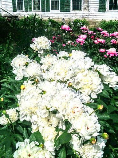 Fortress «Fort Ticonderoga», reviews and photos, 102 Fort Ti Rd, Ticonderoga, NY 12883, USA