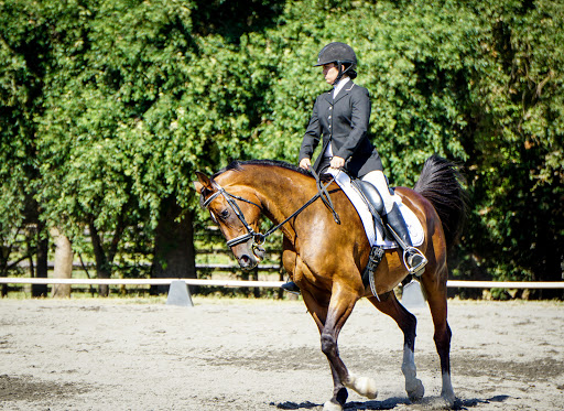 Pacific Equestrian Center