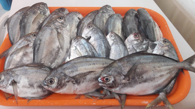 Opiniones de pescaderia genesis en Machachi - Tienda de ultramarinos