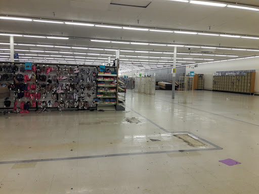 Discount Store «Kmart», reviews and photos, 5400 E Busch Blvd, Tampa, FL 33617, USA