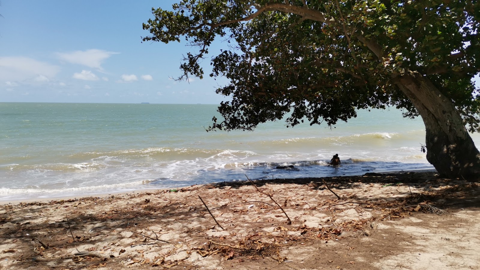 Foto de Arked Punggai Beach - bom local amigável para animais de estimação para férias