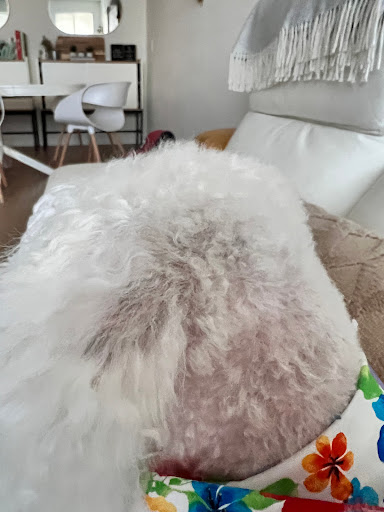 Pet Supply Store «Petco Animal Supplies», reviews and photos, 645 S Green Valley Pkwy, Henderson, NV 89052, USA