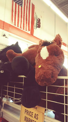 Home Improvement Store «Tractor Supply Co.», reviews and photos, 811 N Humboldt Ave, Willows, CA 95988, USA