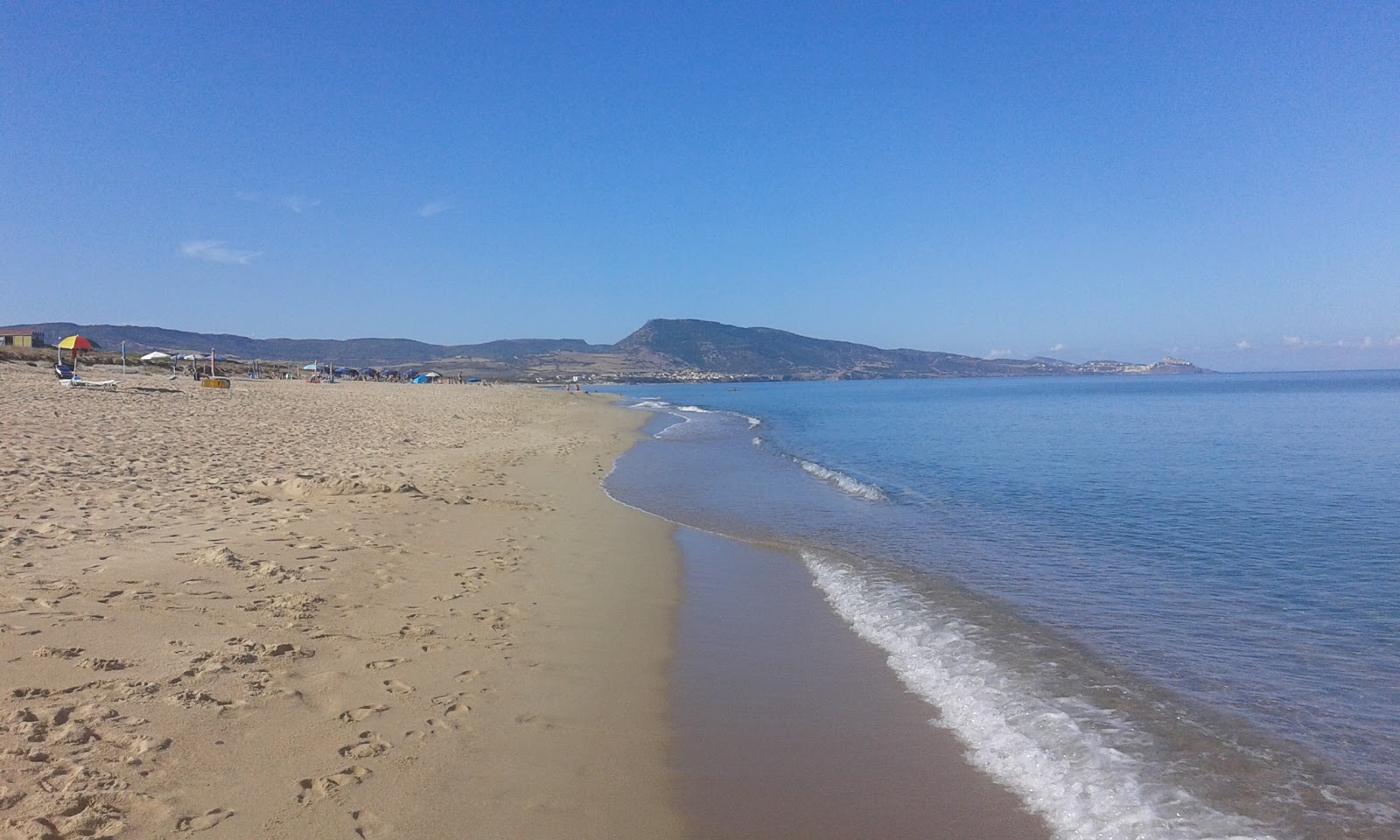 Spiaggia della Baia delle Mimose'in fotoğrafı - tatil için iyi evcil hayvan dostu nokta
