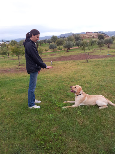Adiestradores caninos y entrenadores de mascotas en Córdoba de 2024