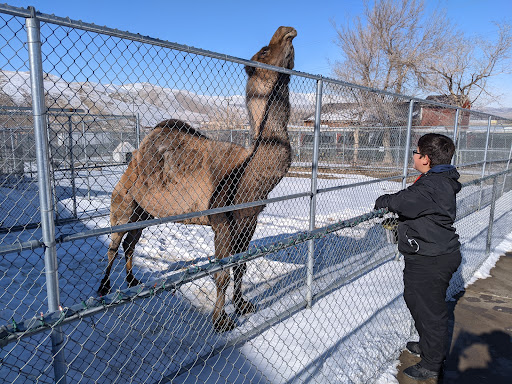 Zoo «Sierra Safari Zoo», reviews and photos, 10200 N Virginia St, Reno, NV 89506, USA