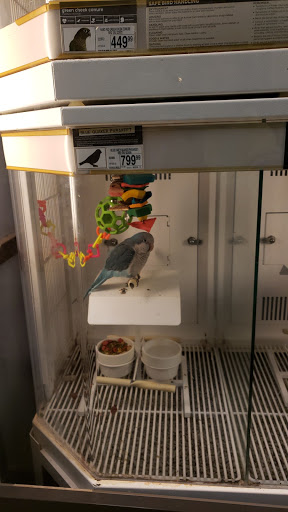 Pet Supply Store «Pet Supplies Plus», reviews and photos, 11054 Lee Hwy, Fairfax, VA 22030, USA