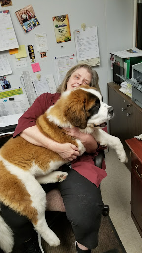 Florist «Up-Towne Flowers & Gift Shoppe», reviews and photos, 2145 W Dublin Granville Rd, Worthington, OH 43085, USA