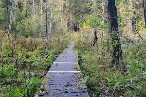 Žaisa Spring image