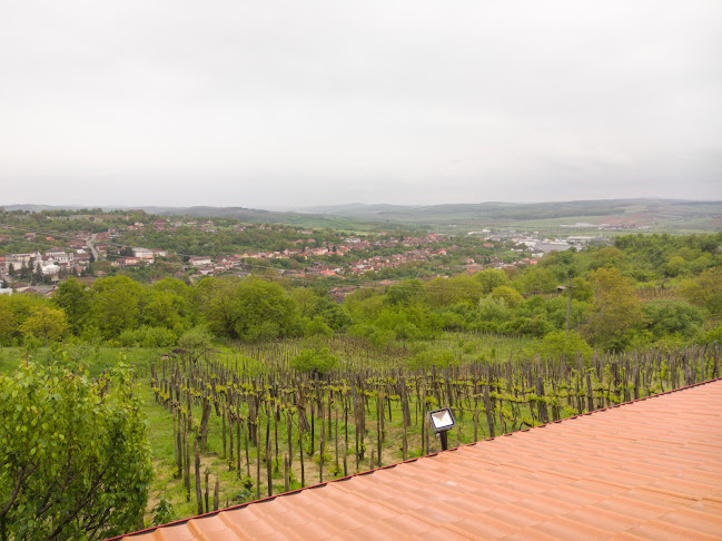 Pensiune Panorama - Hotel