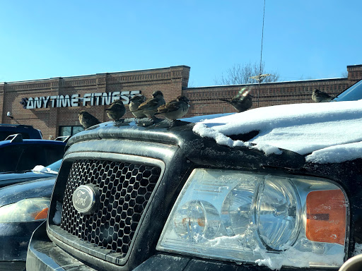 Gym «Anytime Fitness», reviews and photos, 329 Water St, Eau Claire, WI 54703, USA