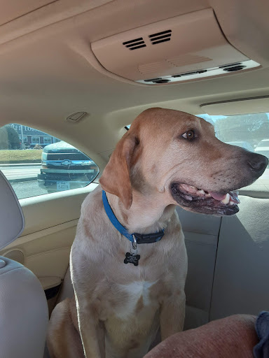 3650 US-377, Granbury, TX 76048, USA