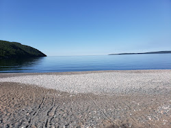 Schreiber Beach'in fotoğrafı vahşi alan