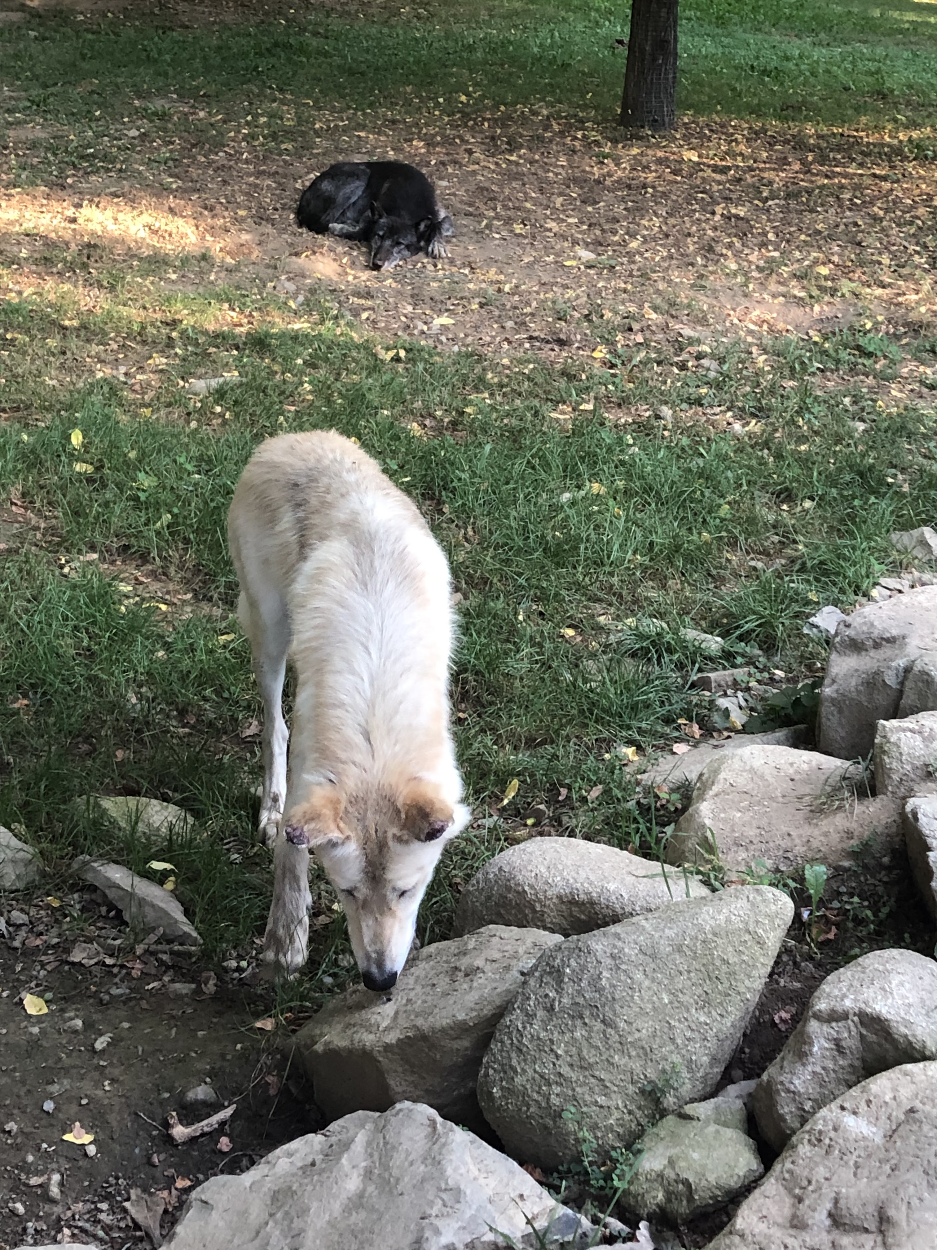 Photo n° 1 de l'avis de yanka.a fait le 20/08/2023 à 10:52