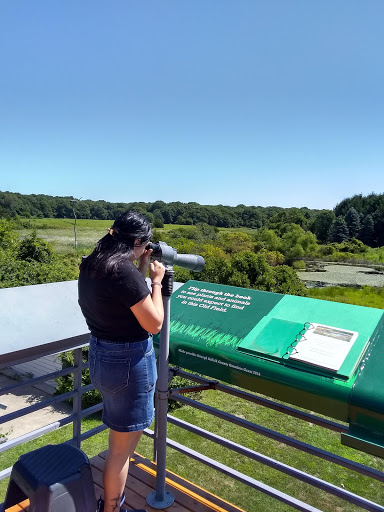 Natural History Museum «South Fork Natural History Museum & Nature Center», reviews and photos, 377 Bridgehampton-Sag Harbor Turnpike, Bridgehampton, NY 11932, USA