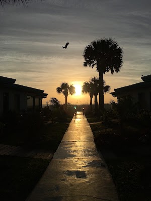 Beach Island Resort - photo 67