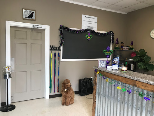 Pet Store «A Pet Salon Grooming Boarding», reviews and photos, 14115 LA-44, Gonzales, LA 70737, USA