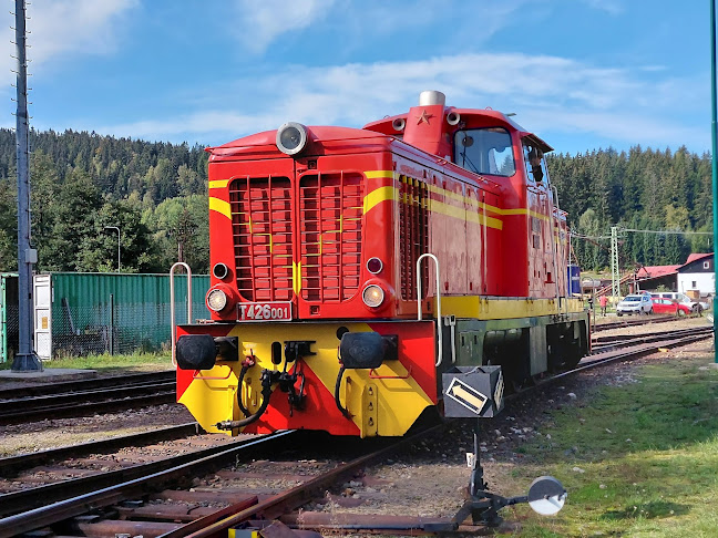 Kořenov 801, 468 49 Kořenov