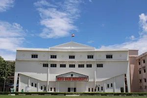 Mata Gujari Memorial Medical College and Lions Seva Kendra Hospital image